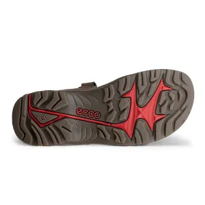 ECCO Offroad M Brown