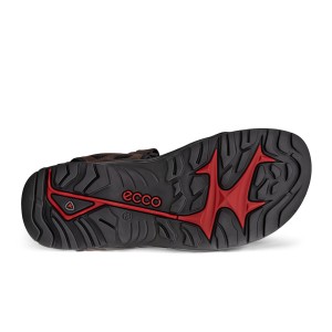 ECCO Offroad