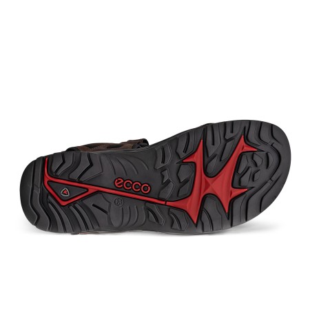 ECCO Offroad