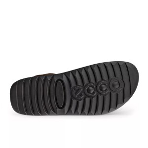 ECCO Cozmo M Potting Soil